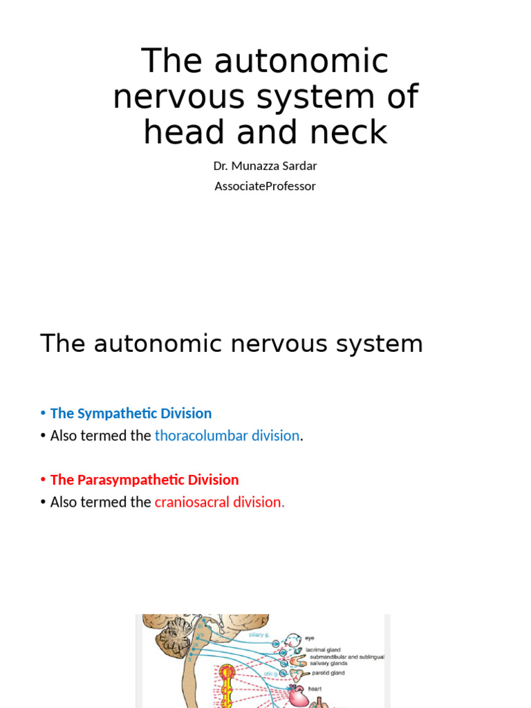 autonomic nervous system head and neck | PDF