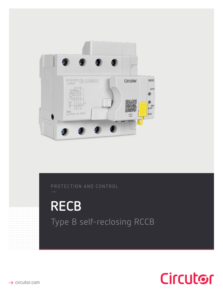 DP Recb en | PDF