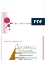 Familia Papaveraceae y Aizoaceae