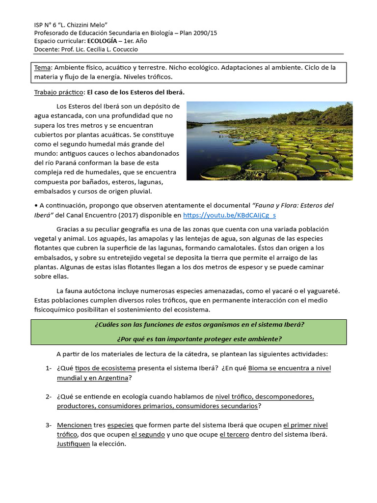 Esteros del Iberá: Ecosistemas y Biodiversidad | PDF | Ecología | Humedal