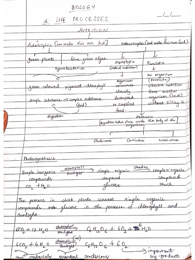 Biology Tution Notes | PDF