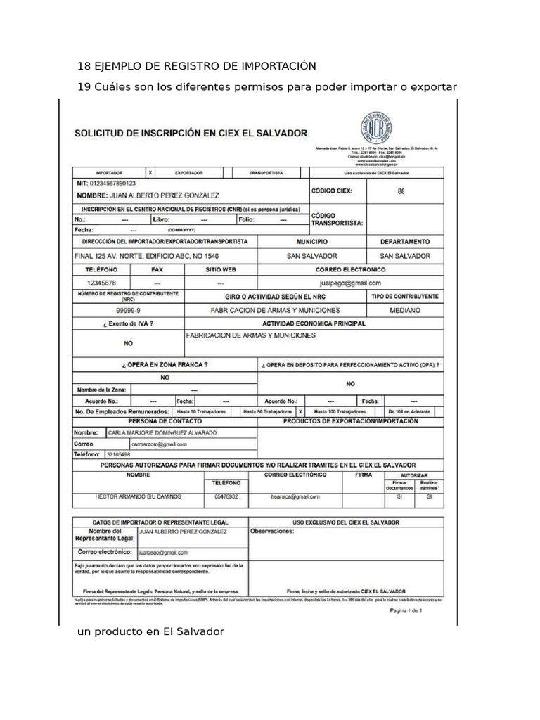 18 Ejemplo de Registro de Importación 19 Cuáles Son Los Diferentes ...