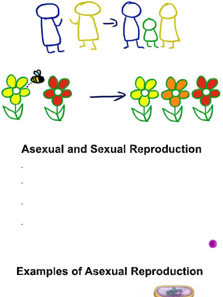 Reproduction - 1 | PDF