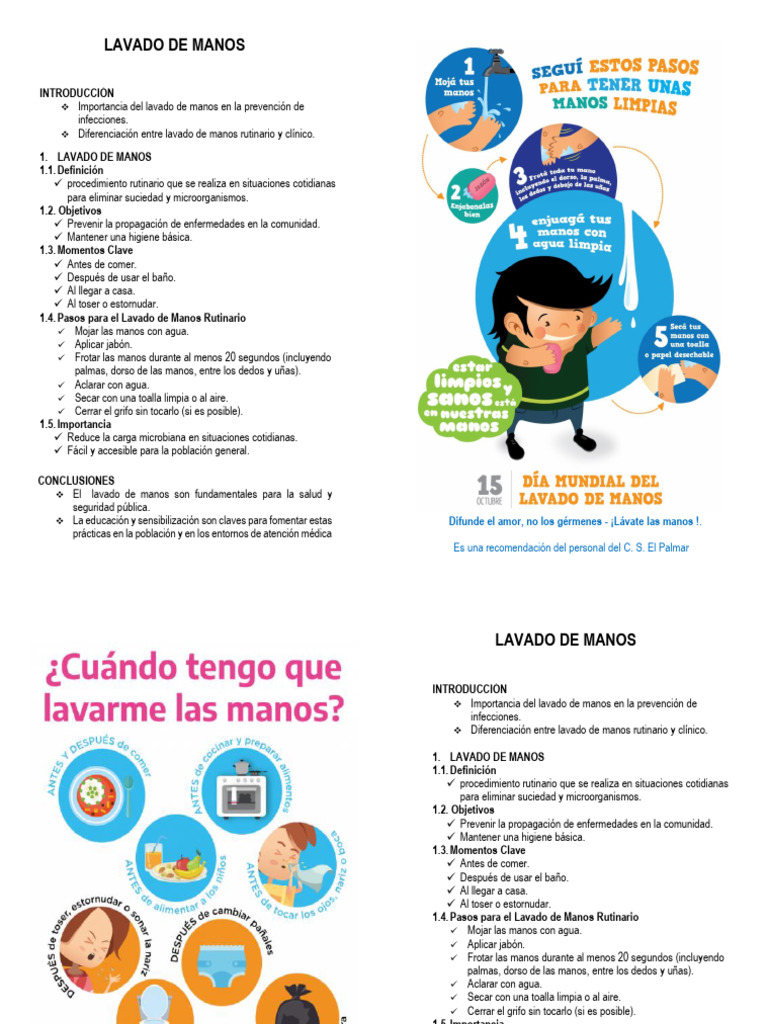 Importancia del Lavado de Manos | PDF | Lavado de manos | Saneamiento
