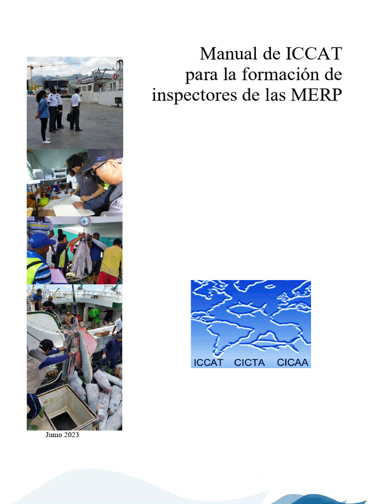 PSM Manual Spa | PDF