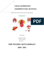 Download Makalah Sistem Ekskresi Pada Manusia by Semy Simbala SN78000378 doc pdf