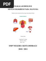 Download Makalah Sistem Ekskresi Pada Manusia by Semy Simbala SN78000378 doc pdf