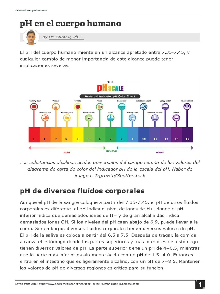 PH en El Cuerpo Humano | PDF