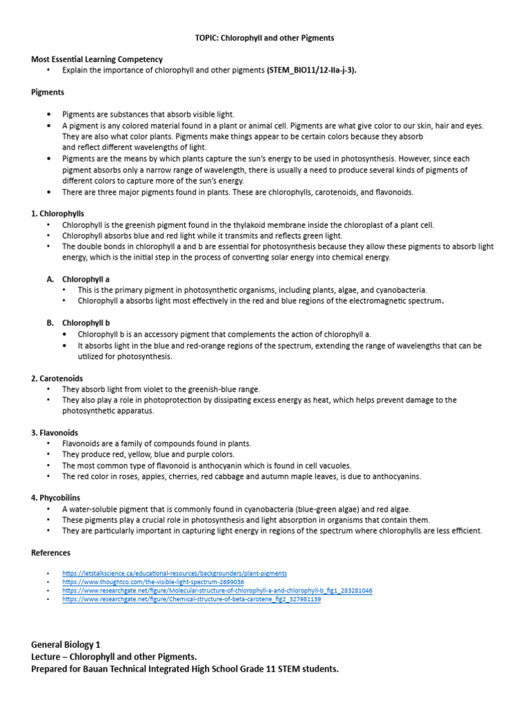 HANDOUT Chlorophyll and Other Pigments | PDF