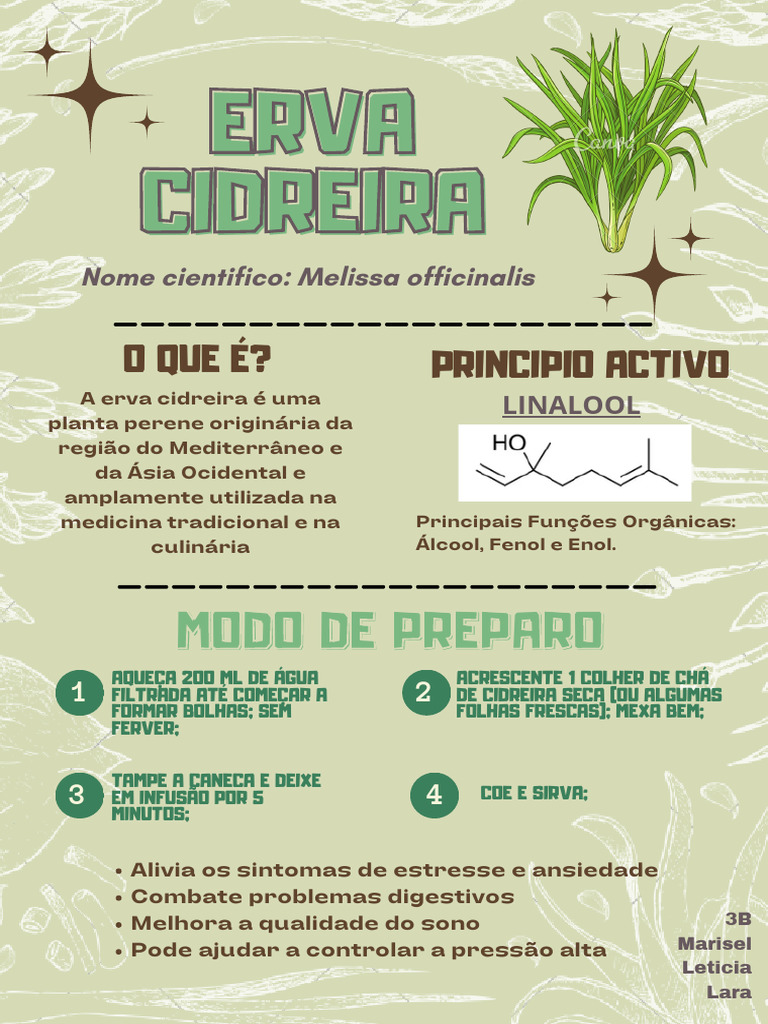 Erva Cidreira | PDF