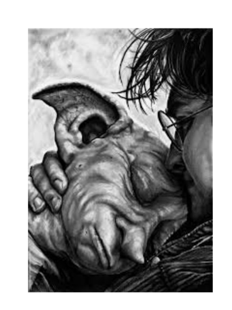 Muerte de Dobby | PDF