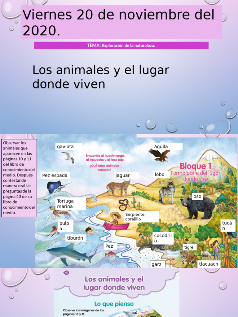 Diapositiva Del Conocimiento Del Medio Los Animales y El Lugar Donde ...