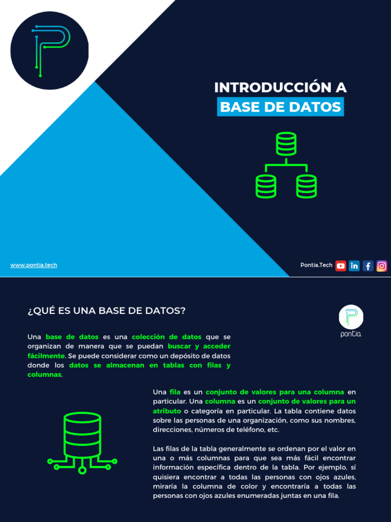 Introduccion A Base de Datos | PDF