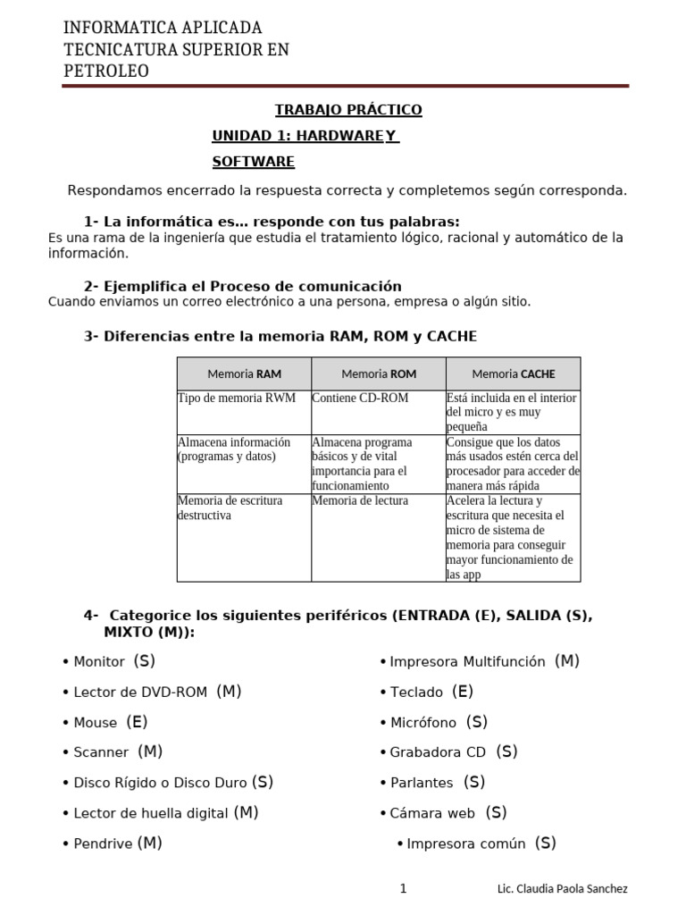 Trabajo Practico de Hardware y Software | PDF