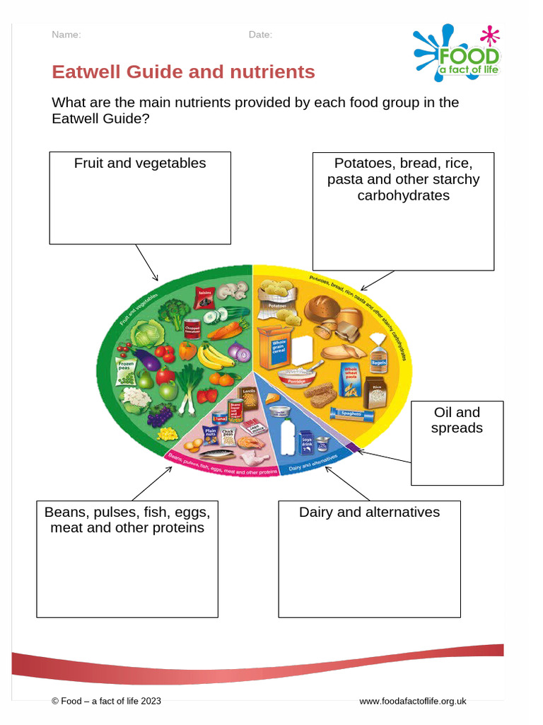 eatwell-guide-and-nutrients-ws-711he4-pdf