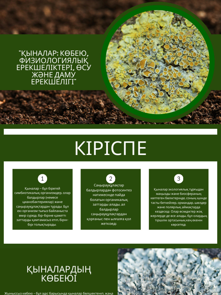 Саратов секс фотосуреттері