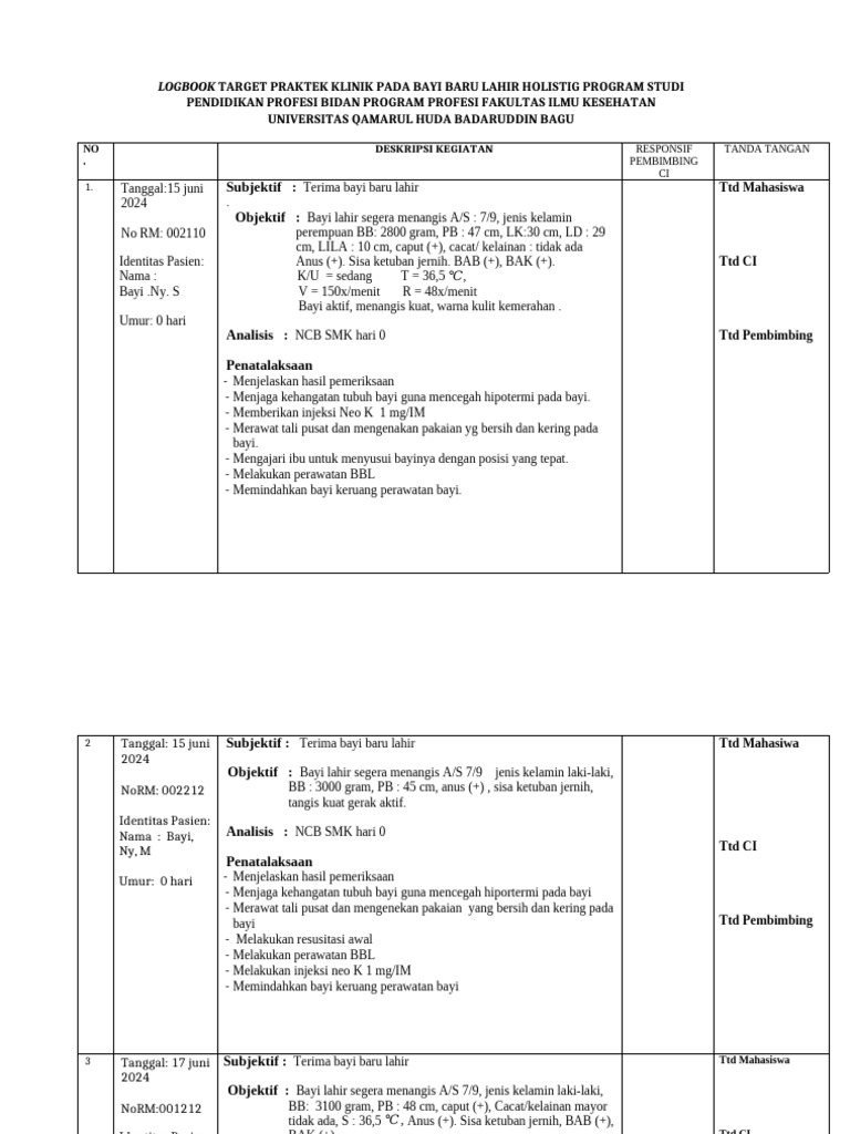 Logbook Target Praktek Klinik Bayi Baru Lahir | PDF