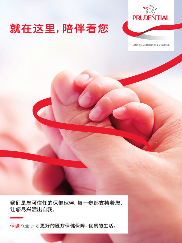 Prushield Ebrochure Chinese | PDF