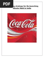 Download Marketing Strategy for Relaunching Minute Maid by Anurag Huria SN7801493 doc pdf