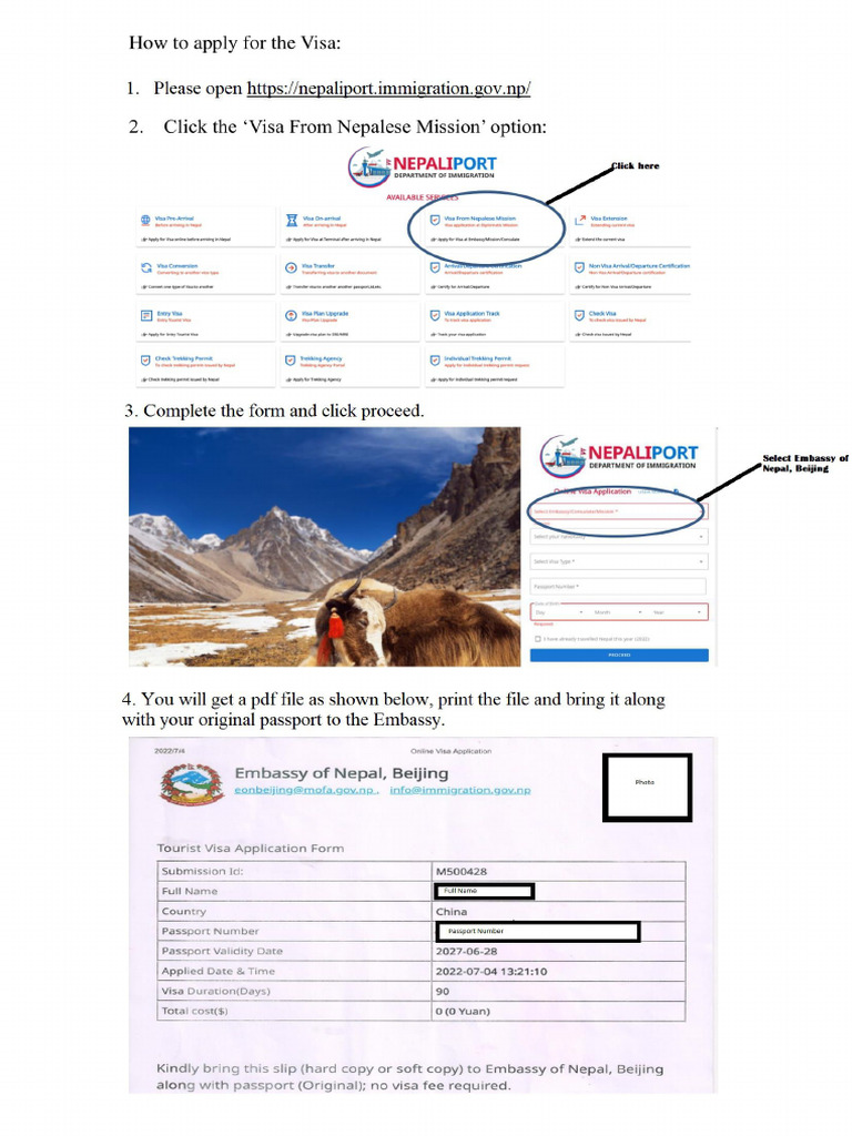 How To Apply For The Visa | PDF