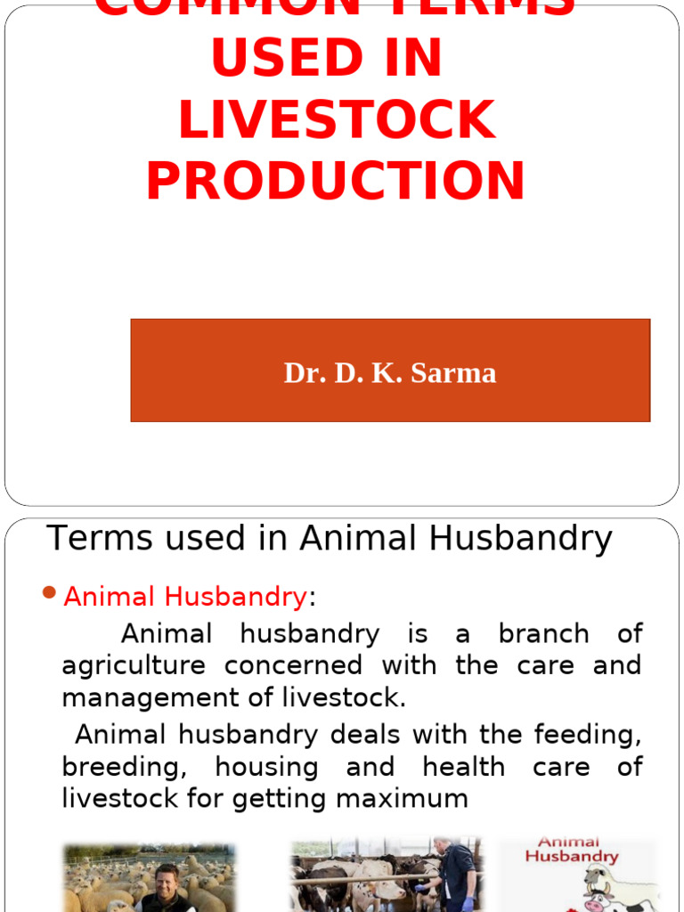 Common Terminologies PDF