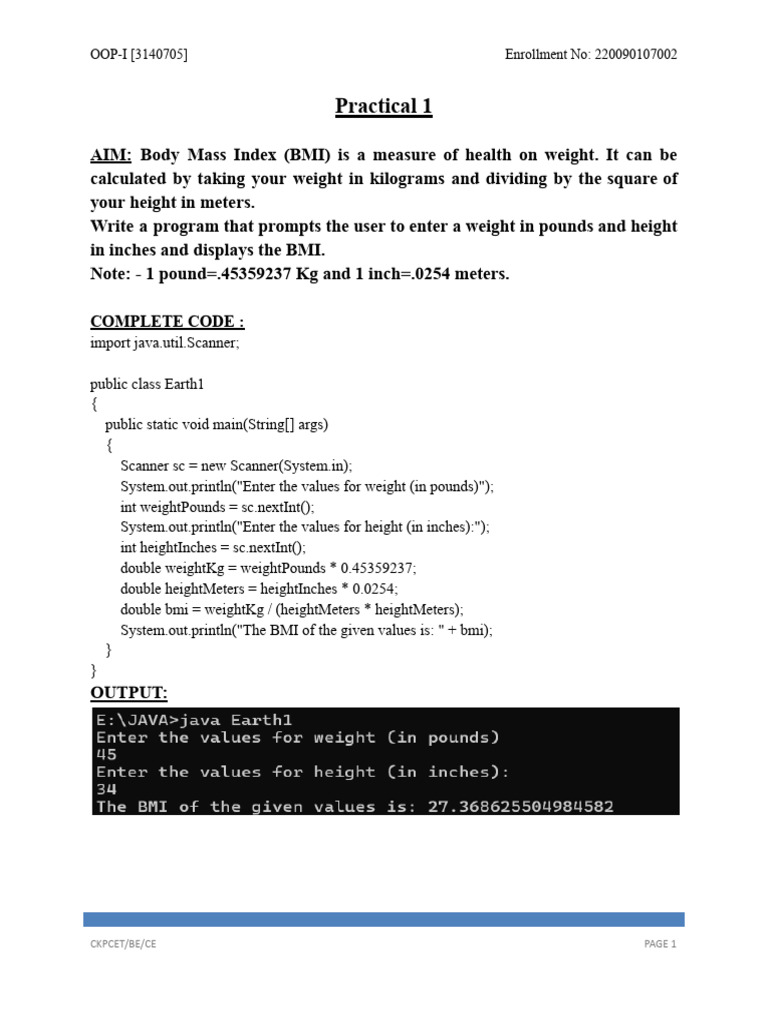 OOP-I File Format | PDF