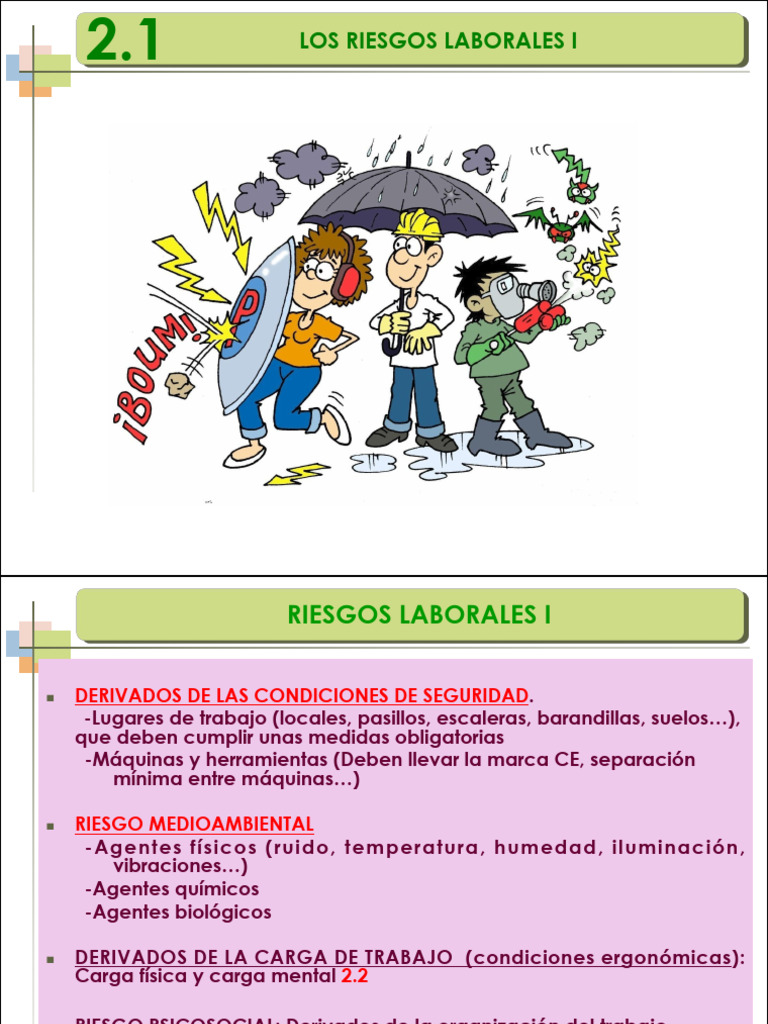 Riesgos Laborales y Medidas de Prevención | PDF | ruido | Alergia