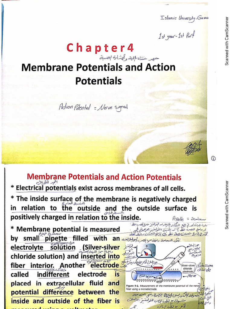 Ch4 Biology | PDF