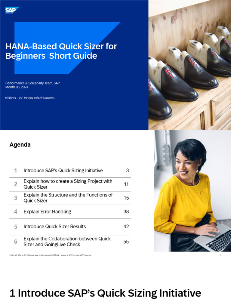HANA-Based Quick Sizer For | PDF
