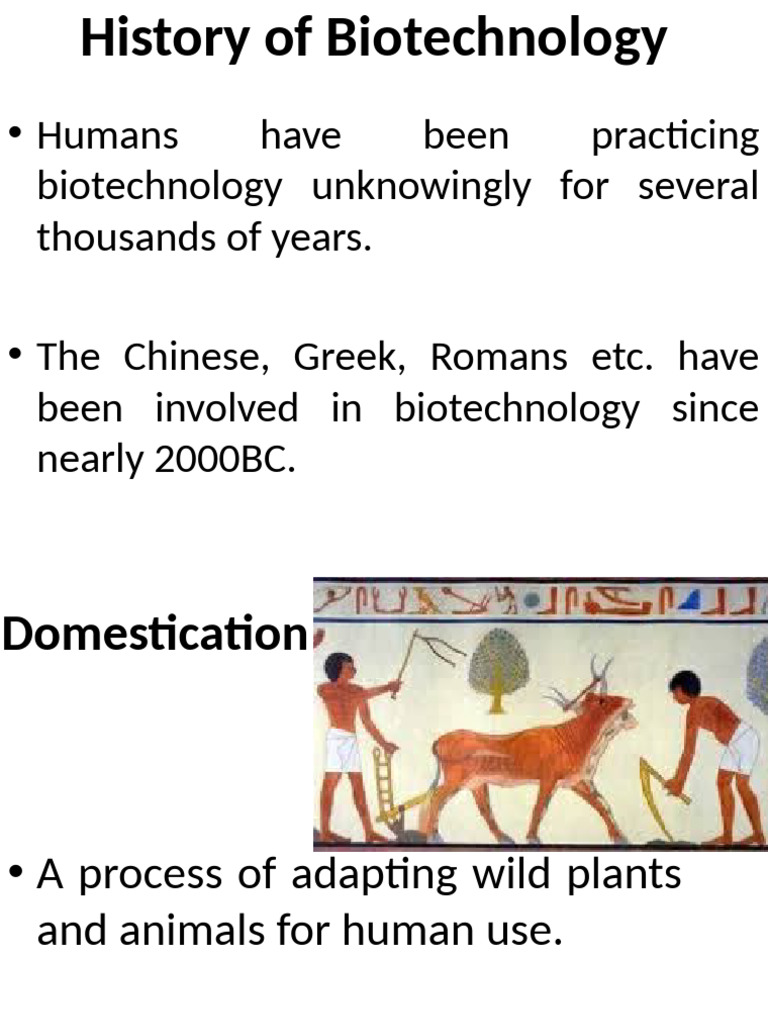 History Of Biotechnology Lec 1 Pdf