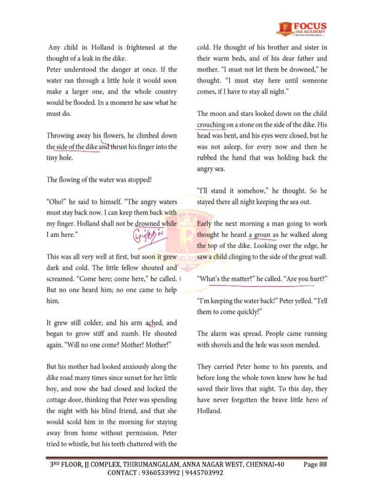 30.little Hero of Holland | PDF