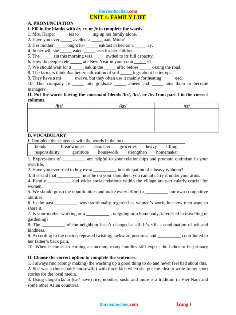 Bai Tap Thuc Hanh Tieng Anh 10 Global UNIT 1 FAMILY LIFE | PDF
