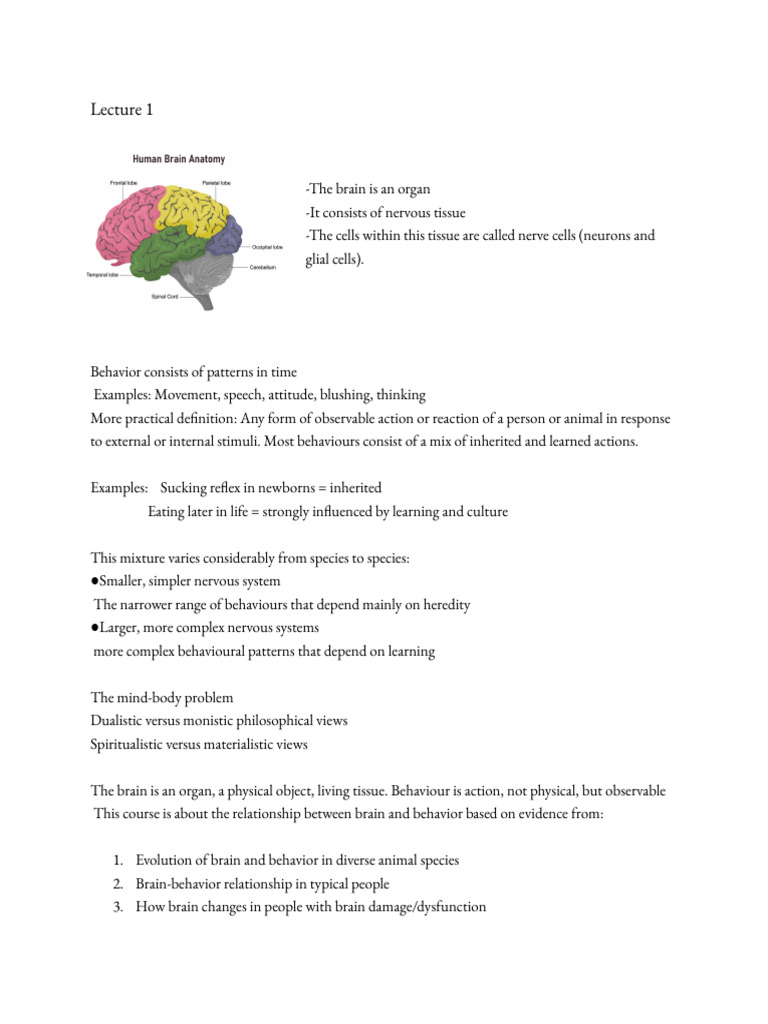 Brain and Behaviour 1 | PDF