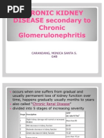 Download CHRONIC KIDNEY DISEASE Secondary to Chronic Glomerulonephritis by Jerwin Jade Bolor SN78027099 doc pdf