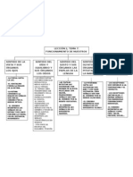 Mapa Conceptual Lección 2 Tema 7 Funcionamiento de Los Sentidos