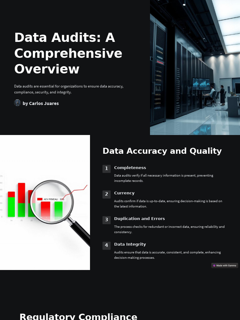 Data Audits A Comprehensive Overview | PDF