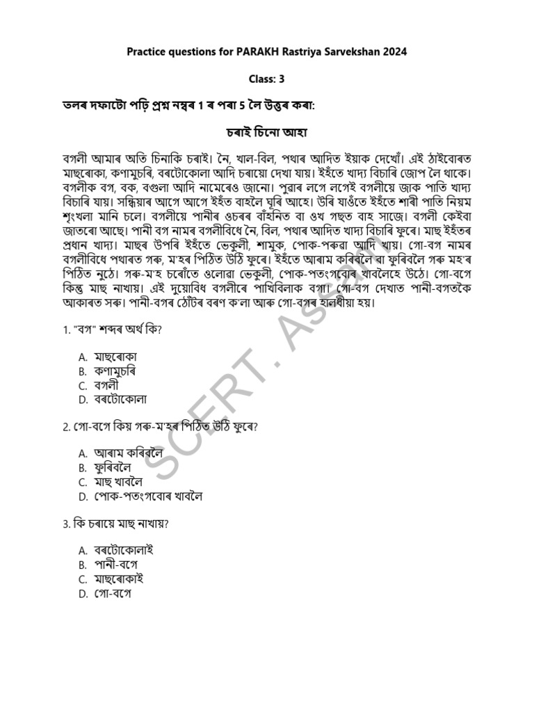 Final Set - Class 3 | PDF | Foreign Language Studies