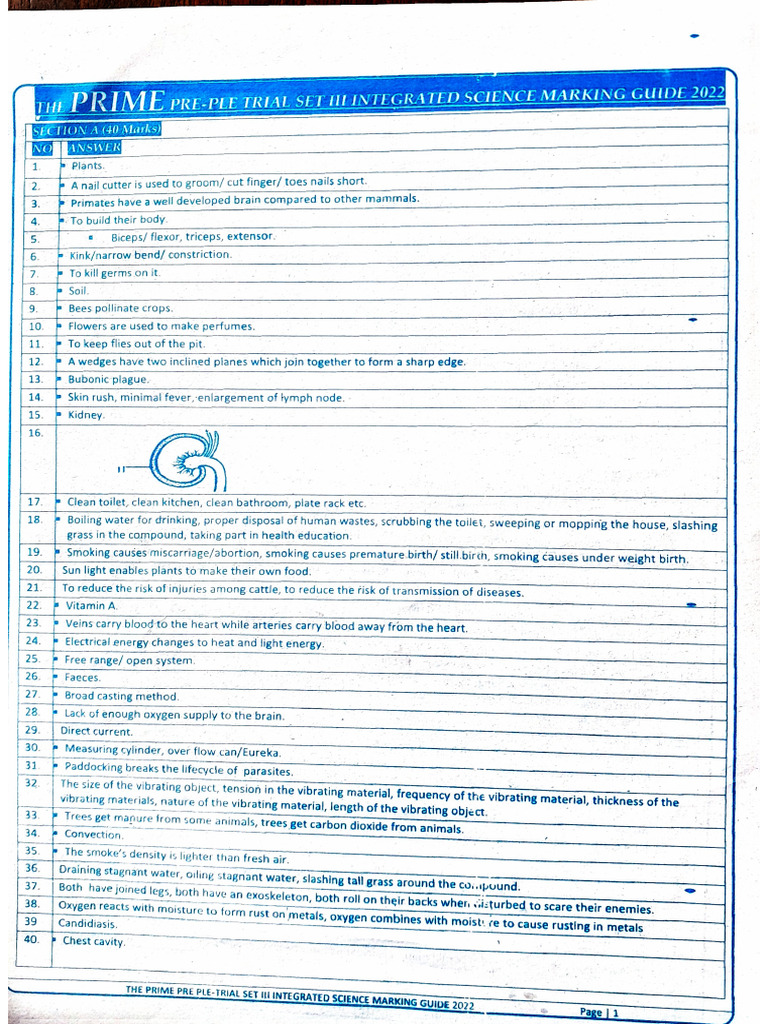PRIME PRE-PLE SET 3 SCI MARKING GUIDE | PDF