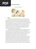 Download Analisis Film My Sister by Ulfa Wungkul SN78033750 doc pdf