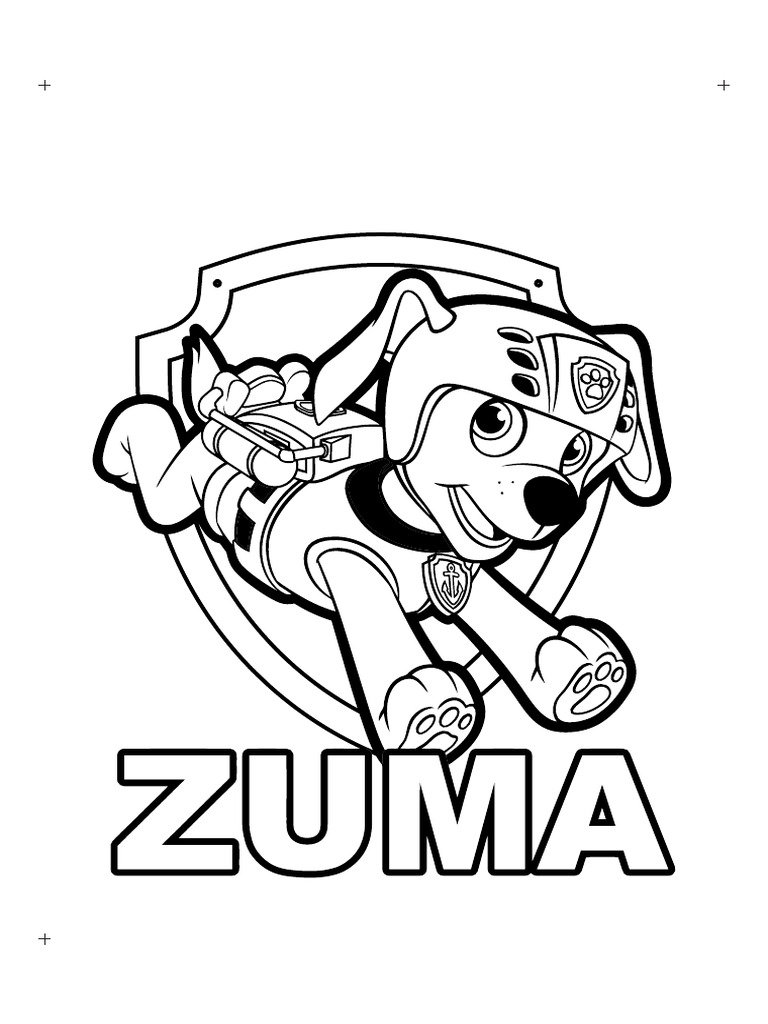 Zuma Fotolito | PDF