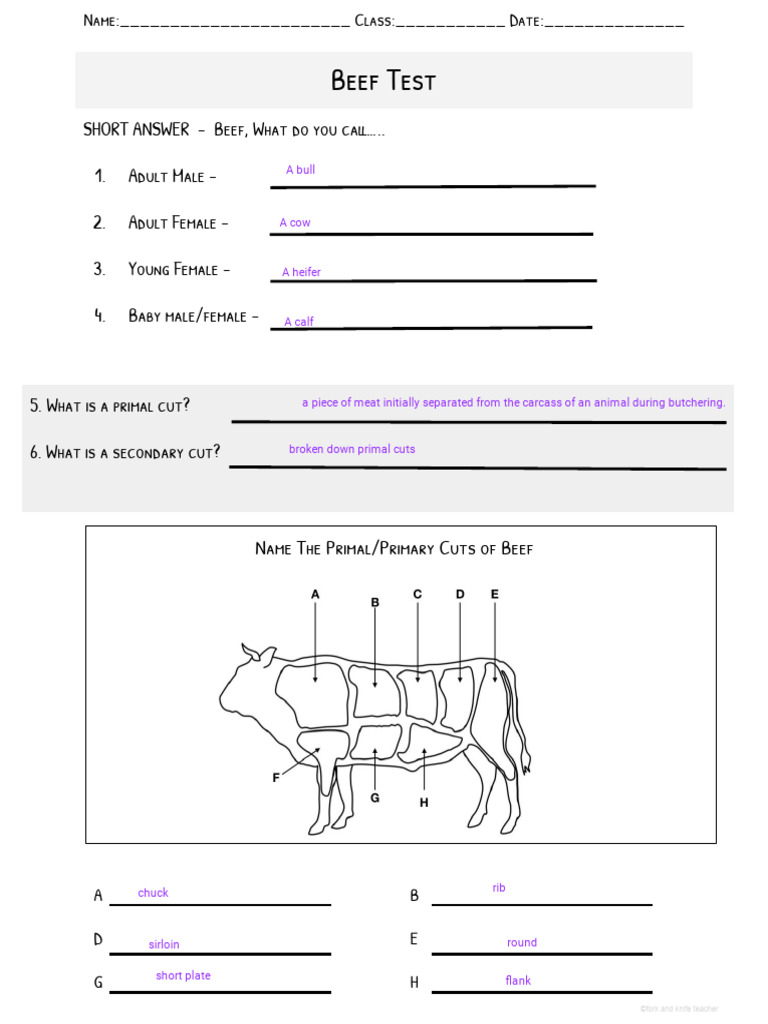 Asyah Henry - Beef Identification Worksheet | PDF