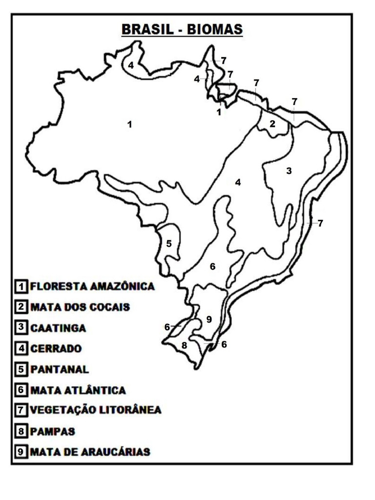 Mapa Biomas Colorir PDF