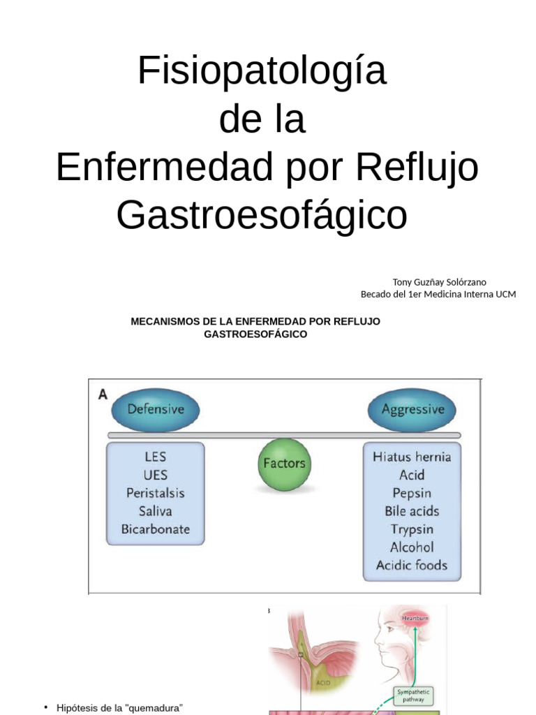 ERGE | PDF