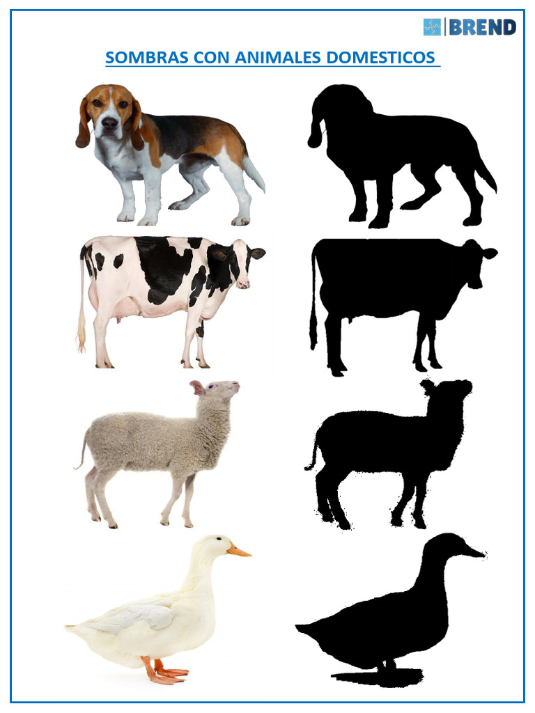 animales-domesticos-sombras-b-stian-pdf