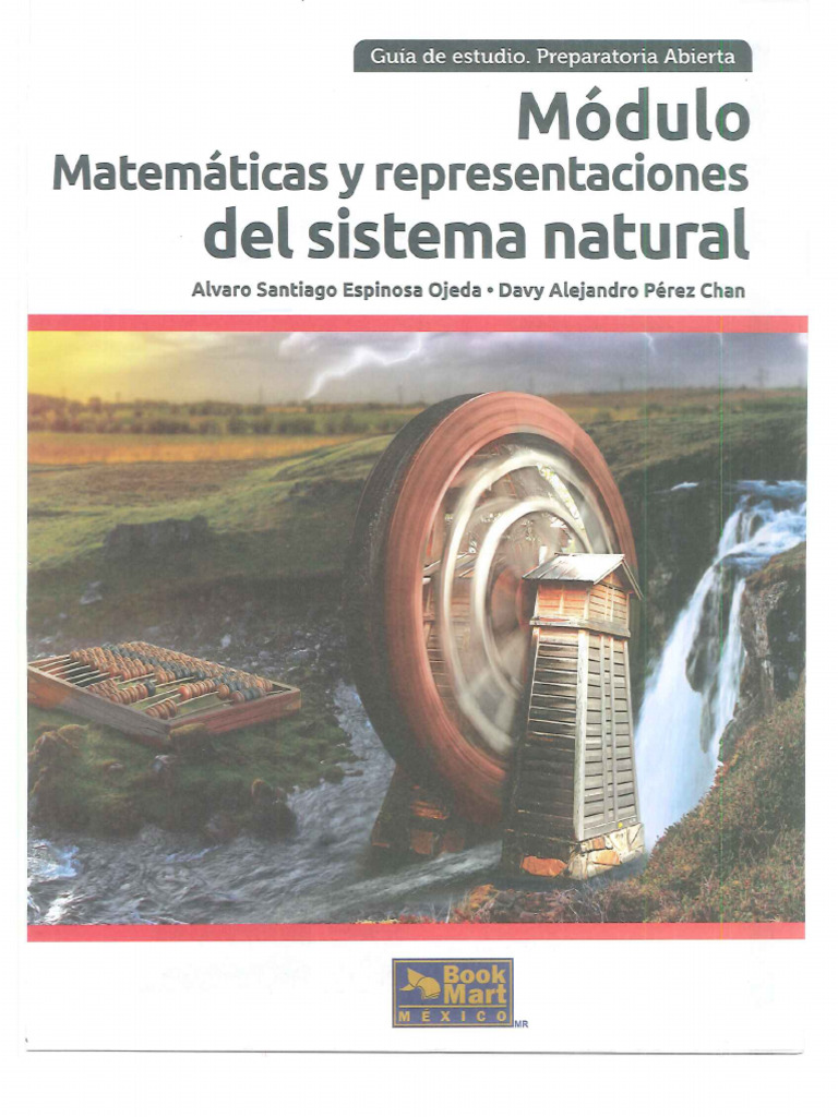 Guia Matematicas y Representaciones Del Sistema Natural | PDF
