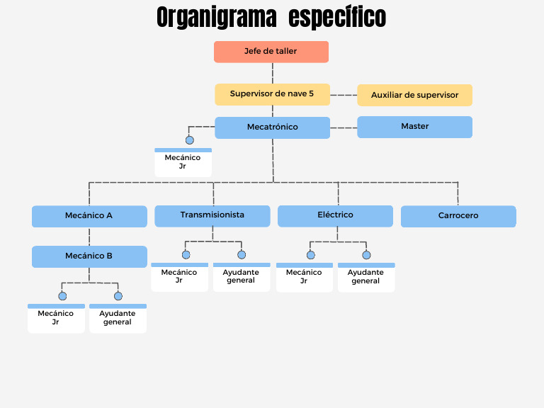 Organigrama Especifico | PDF