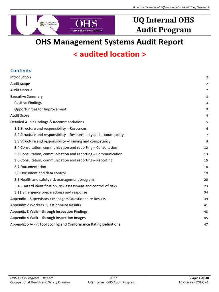 Audit Report Template 03 | PDF