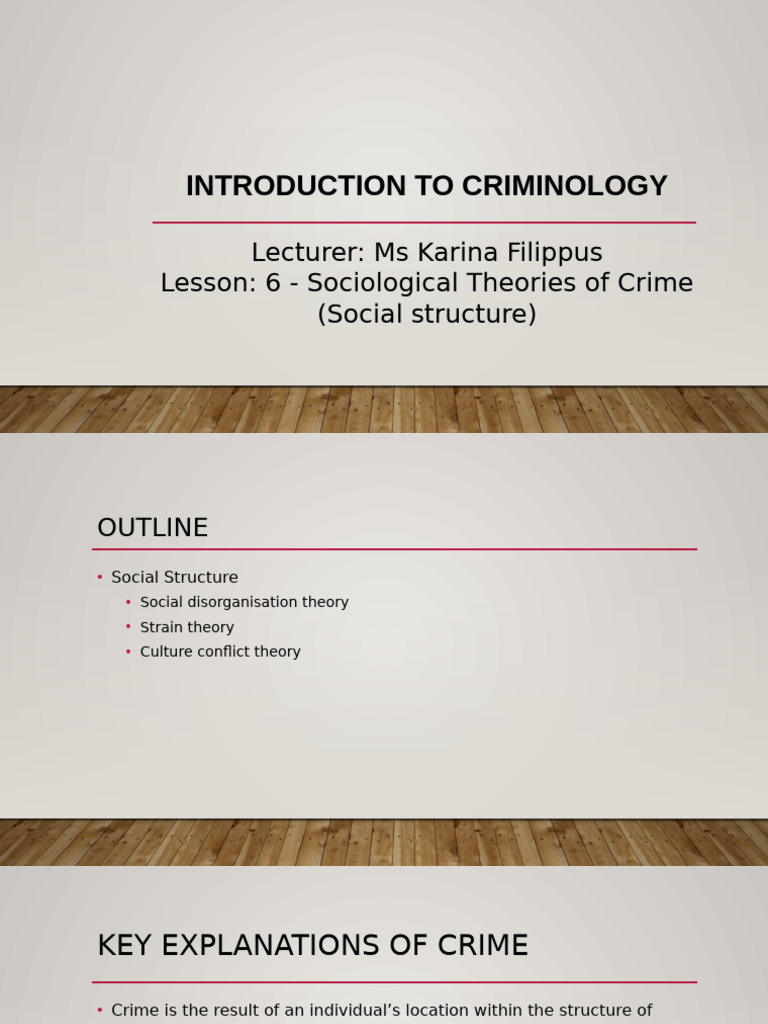 Lesson 6 - Sociological Theories (Social Structure) | PDF