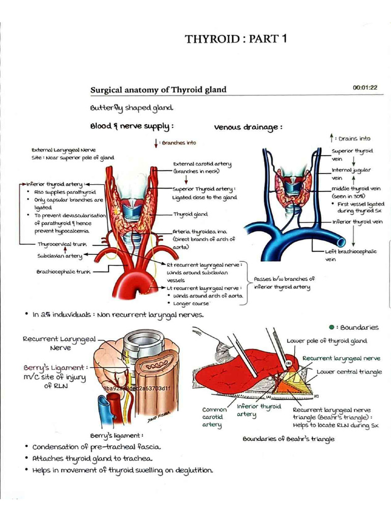 Thyroid Pdf