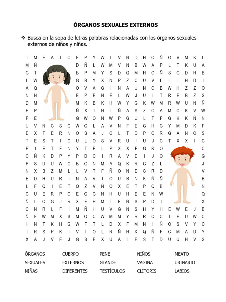 Actividades sobre órganos sexuales externos | PDF | Clítoris | Reproducción